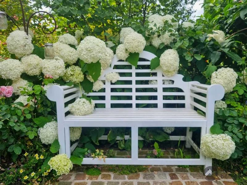 Blumiges Zuhause am Flieder-Weg (12)