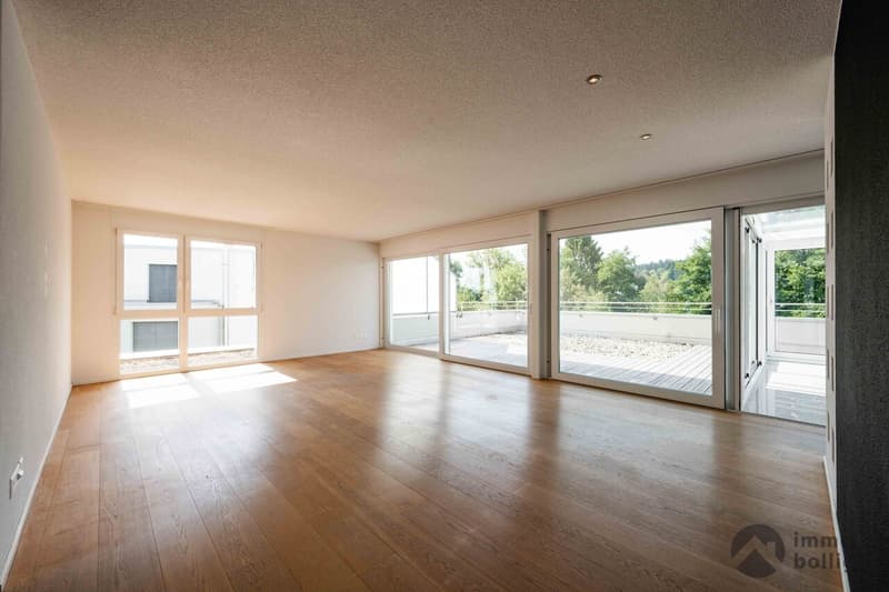 Licht und Komfort in perfekter Harmonie im Attikageschoss (2)