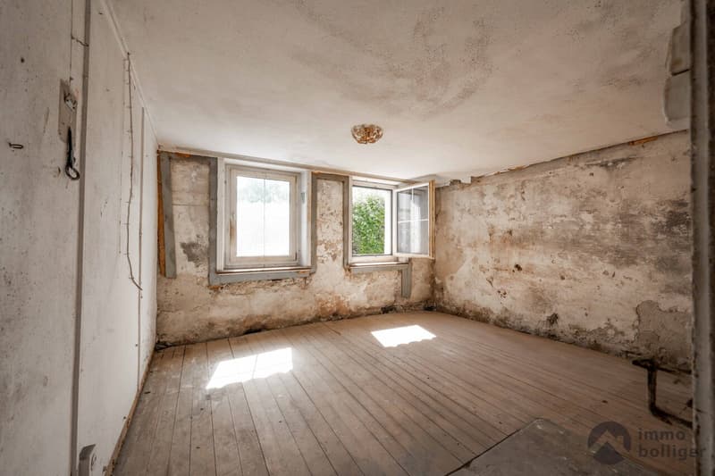 Historisches Wohnhaus mit Entwicklungspotenzial (2)
