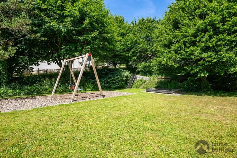 Über den Dächern von Olten - Wohnen mit Weitblick (11)