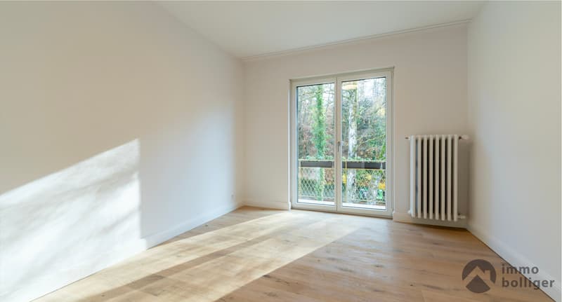 Modern saniertes Haus an begehrter Lage in Olten (7)