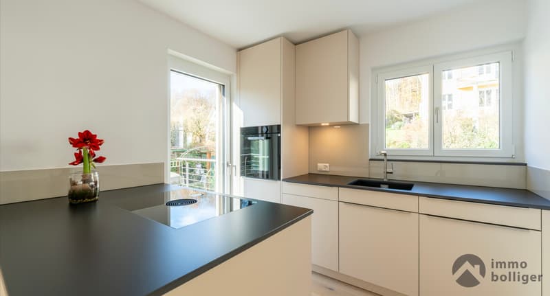 Modern saniertes Haus an begehrter Lage in Olten (2)