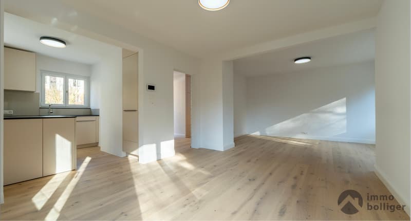 Modern saniertes Haus an begehrter Lage in Olten (3)
