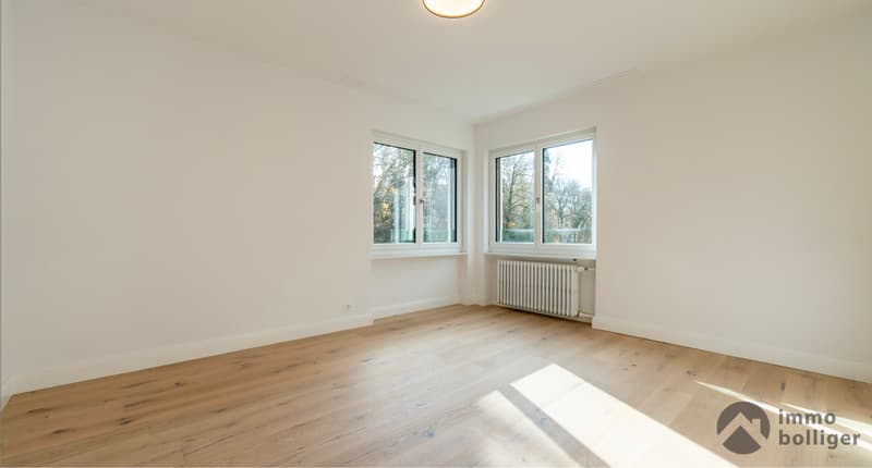 Modern saniertes Haus an begehrter Lage in Olten (11)