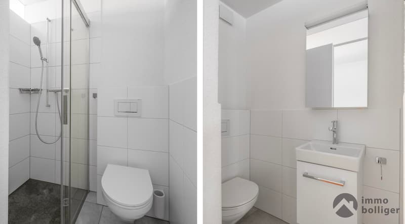 Naturnah in Zofingen - 2-Familienhaus mit Attika-Potenzial (5)
