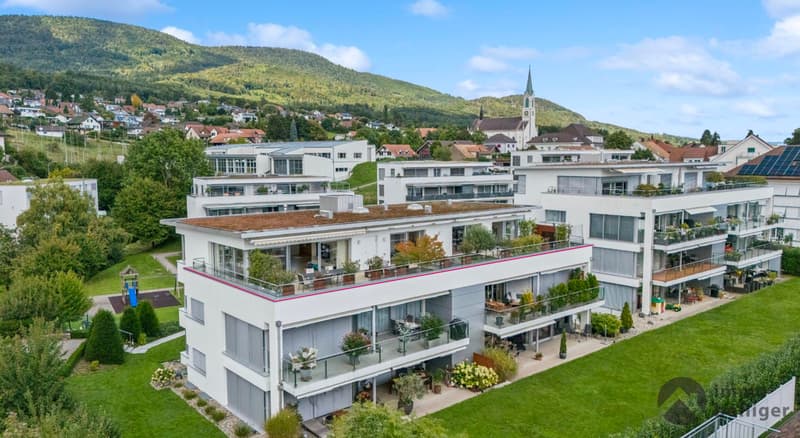 Penthouse - Wohnkomfort Deluxe mit Alpenpanorama (10)