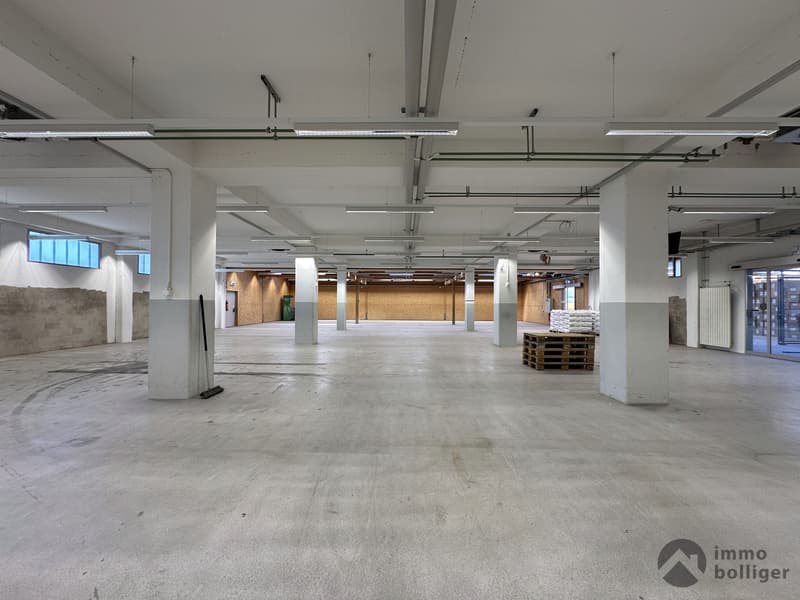Ein Standort. Viele Möglichkeiten. Gewerbe, Lager und Büro vereint. (4)