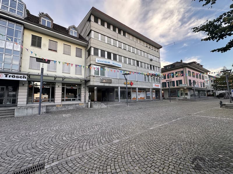 Arbeiten oder Wohnen? Vielseitige Räumlichkeiten an zentraler Lage (10)