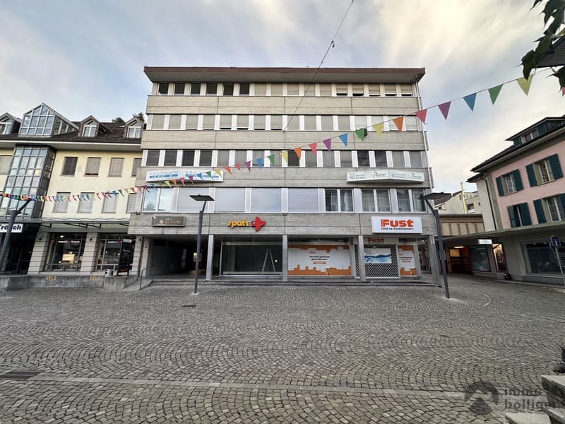 Arbeiten oder Wohnen? Vielseitige Räumlichkeiten an zentraler Lage (11)