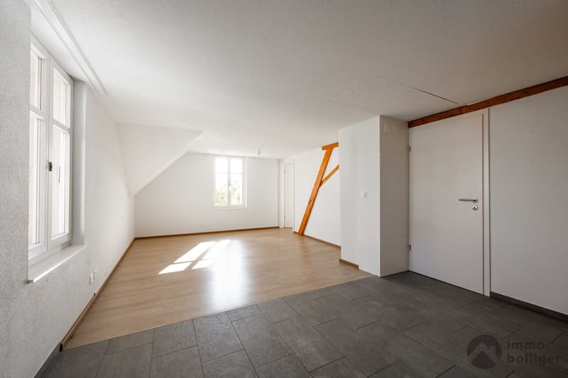 Wohnen, Gewerbe, Bauland - Rendite mit Potenzial in Reitnau (6)