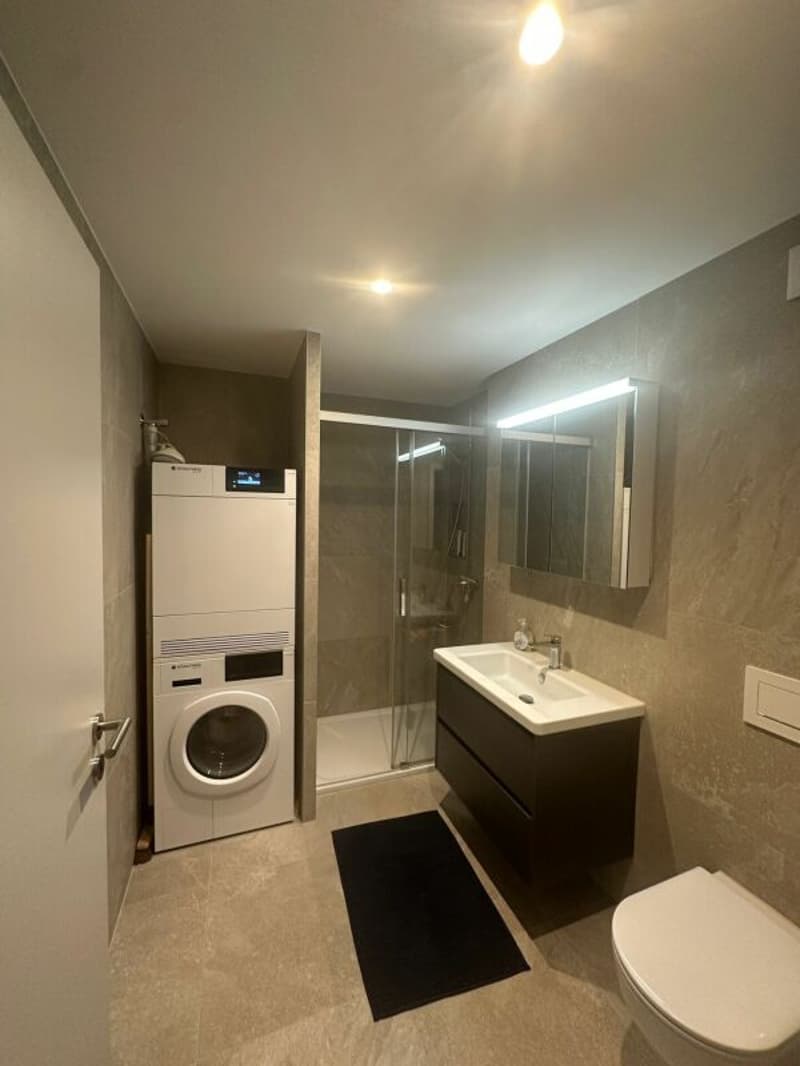 3.5 room apartment on the 5th floor (4)