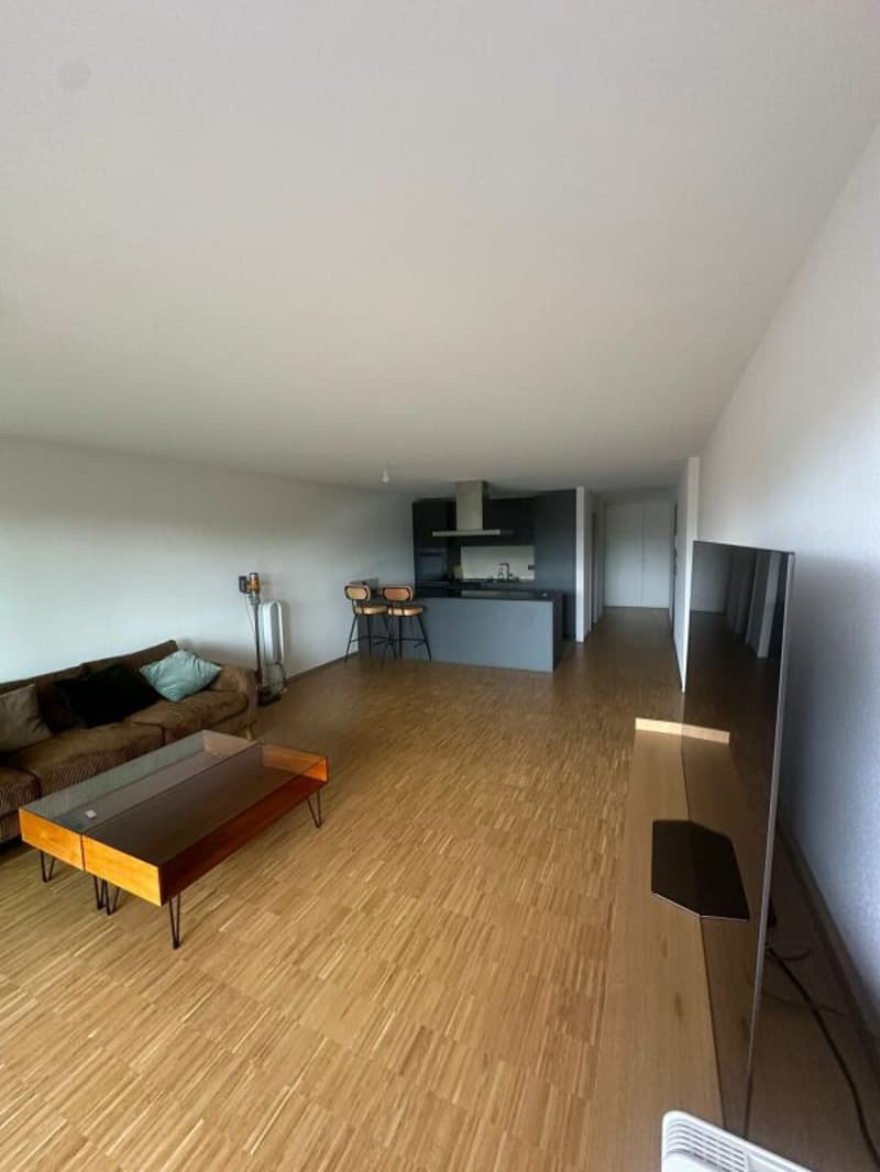 3.5 room apartment on the 5th floor (2)