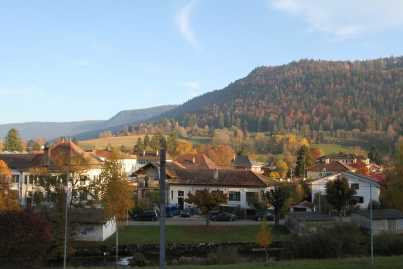 Appartement de 3.5 pièces neuf (1)