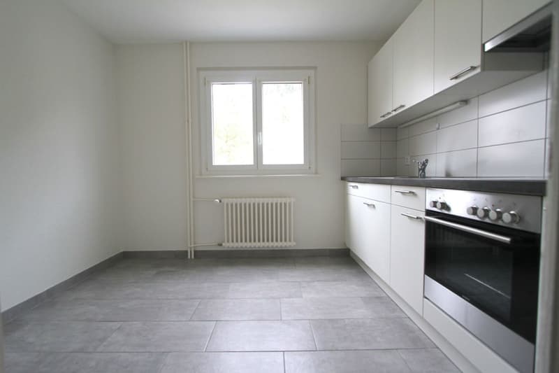 Appartement de 4.5 pièces avec balcon (1)