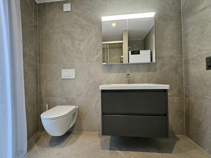 Appartement de 4.5 pièces au 5ème étage (13)