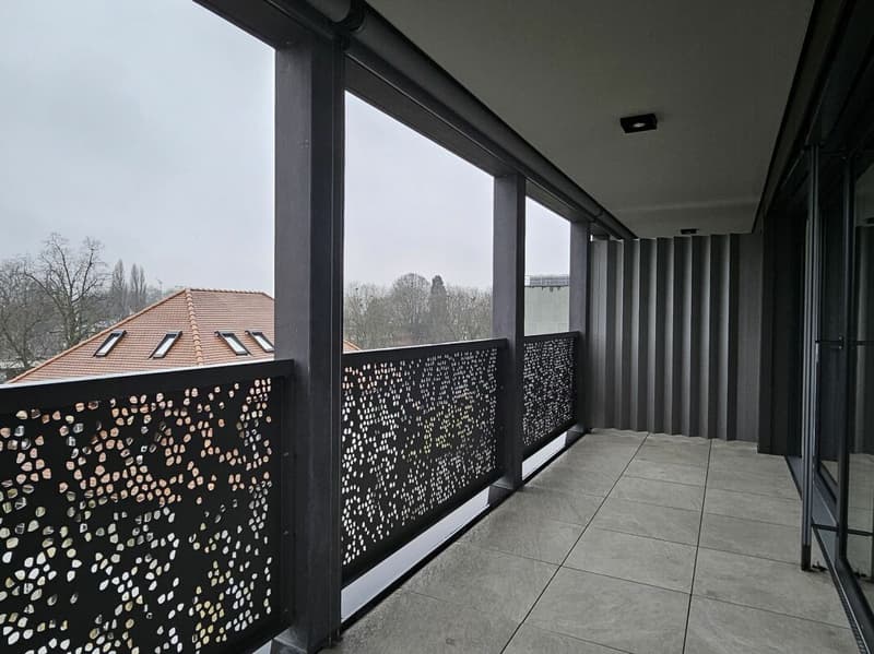 Appartement de 4.5 pièces au 5ème étage (4)