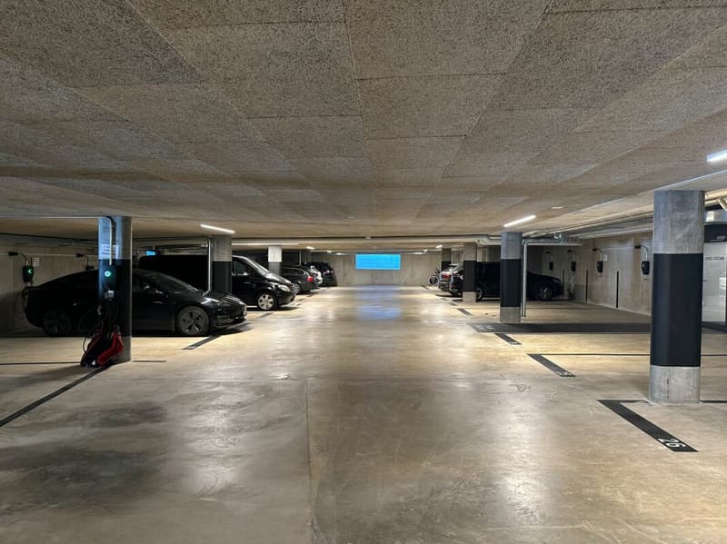 Appartement de 4.5 pièces au 5ème étage (19)