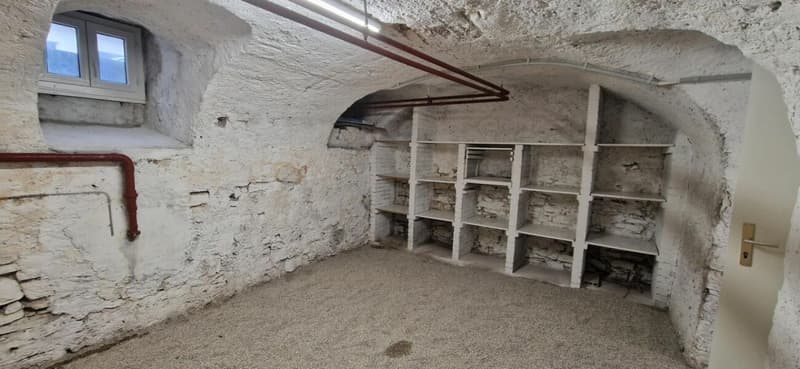 Cantine rinnovate in affitto (4)