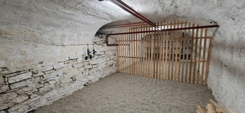Cantine rinnovate in affitto (3)