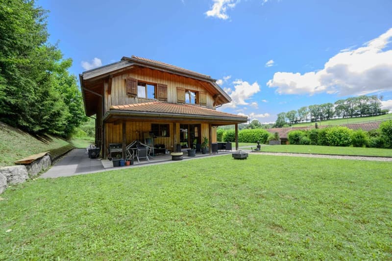 Colocation di lusso in una casa indipendente con giardino e piscina (2)