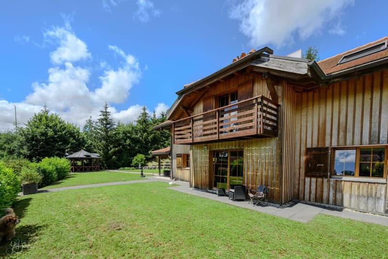 Colocation di lusso in una casa indipendente con giardino e piscina (3)
