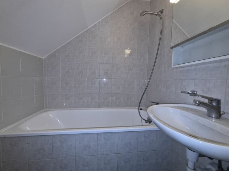 Beautiful 4.5-room apartment on the 2nd floor (9)