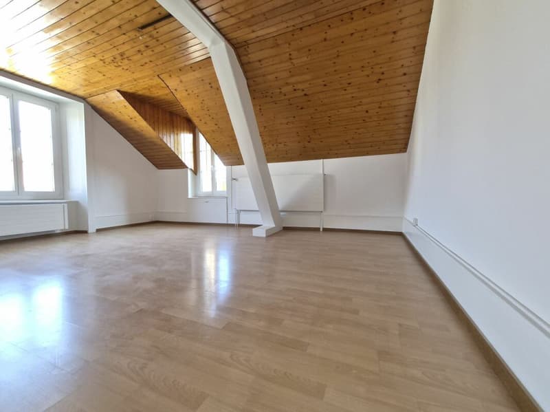 Beautiful 4.5-room apartment on the 2nd floor (3)