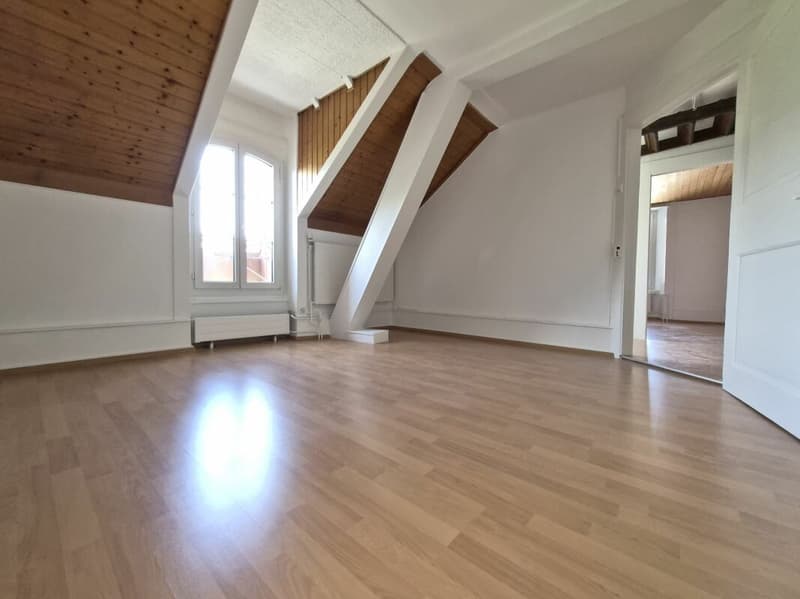 Beautiful 4.5-room apartment on the 2nd floor (7)