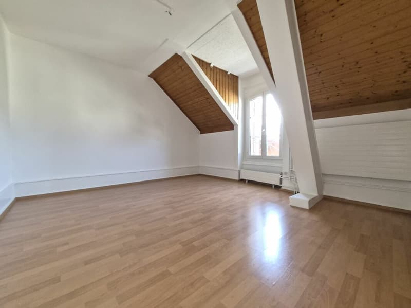 Beautiful 4.5-room apartment on the 2nd floor (4)
