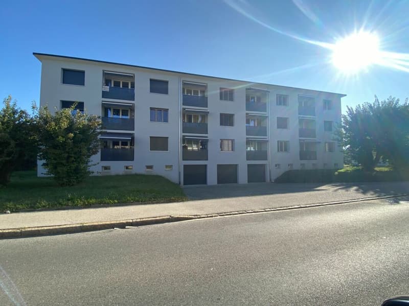 Appartamento di 3 locali al 2° piano (1)