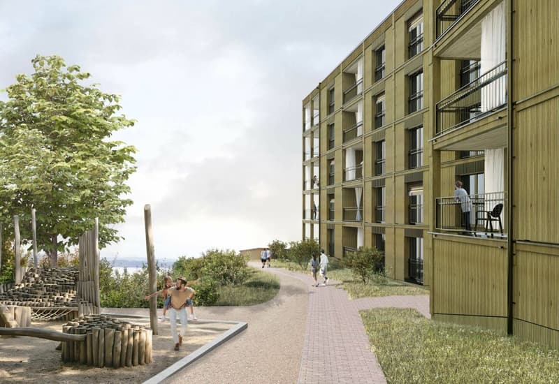 Scopri il progetto Concept B.180 - Appartamento nuovo di 3.5 locali con loggia e terrazza (1)