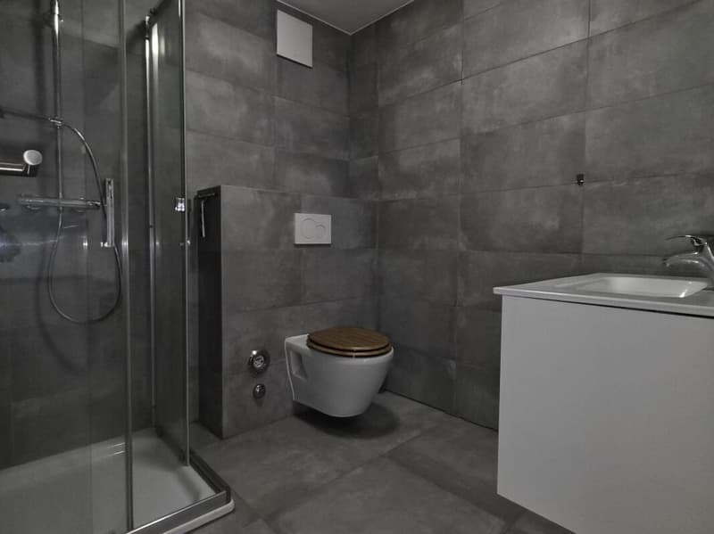 Appartement de 2.5 pièces au 4ème étage (7)
