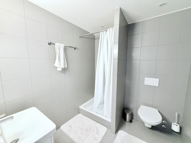 Spacious! 2.5-room apartment with balcony (5)