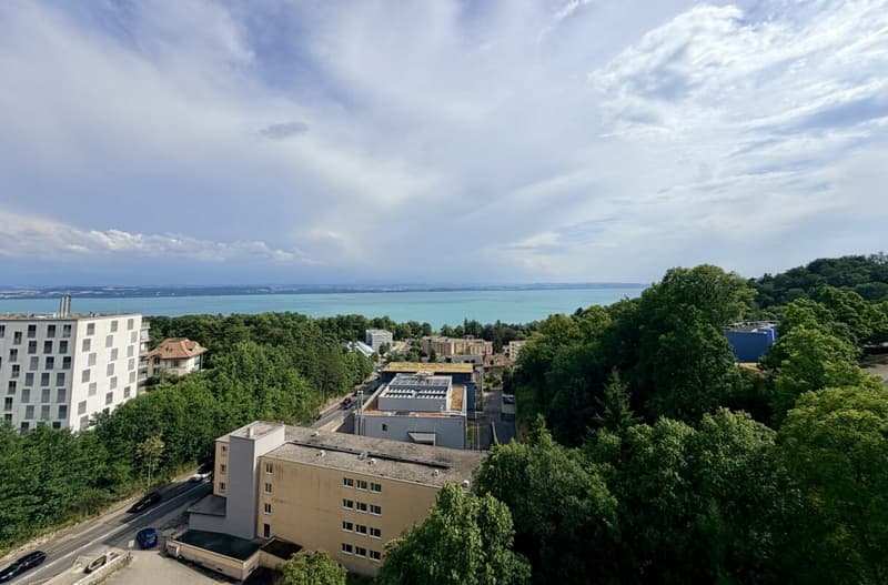 Vue sur le lac ! Appartement de 3.5 pièces avec balcon (7)
