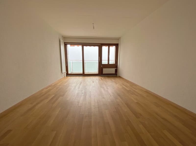 Studio mit Balkon und Seeblick (4)