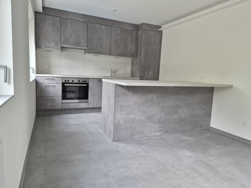Rénové ! Appartement de 4.5 pièces au rez supérieur (3)