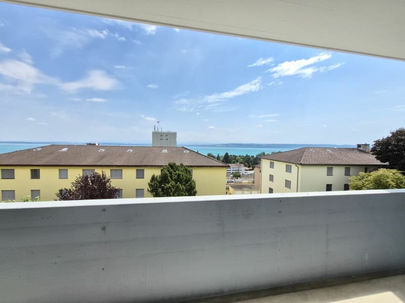 Rénové ! Appartement de 4.5 pièces au rez supérieur (1)