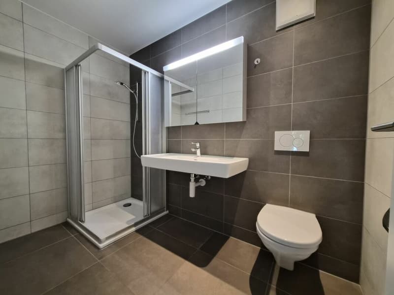 Appartement de 3.5 pièces au rez (4)