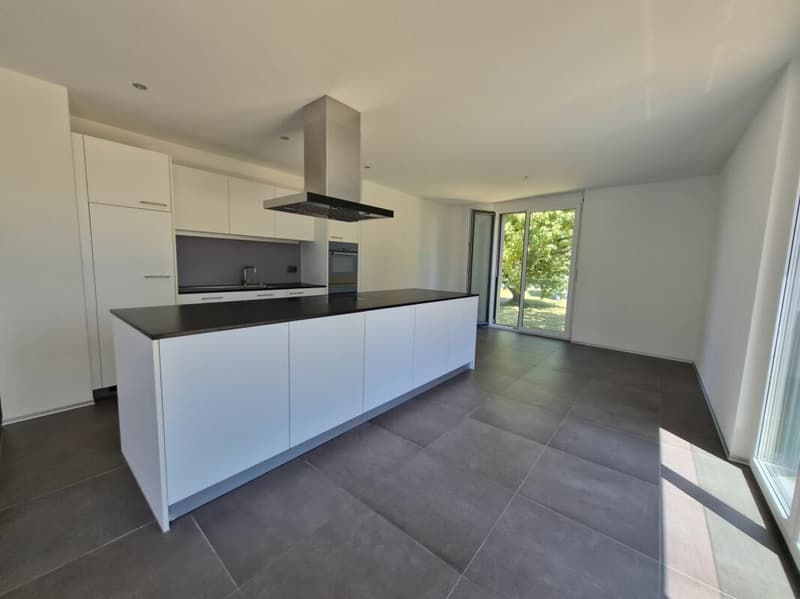 Appartement de 3.5 pièces au rez (8)