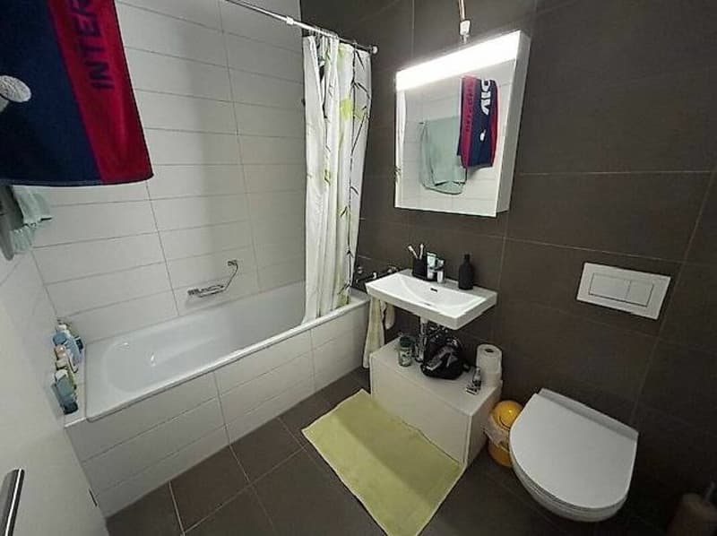 Wohnung mit 3.5 Zimmern im Dachgeschoss (4)