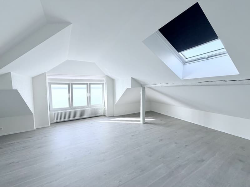 Rénové ! Duplex de 4.0 pièces avec vue sur le lac ! (1)