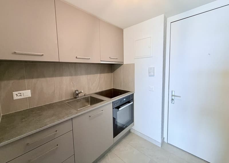 Studio rénové avec encadrement et vue sur le lac (3)