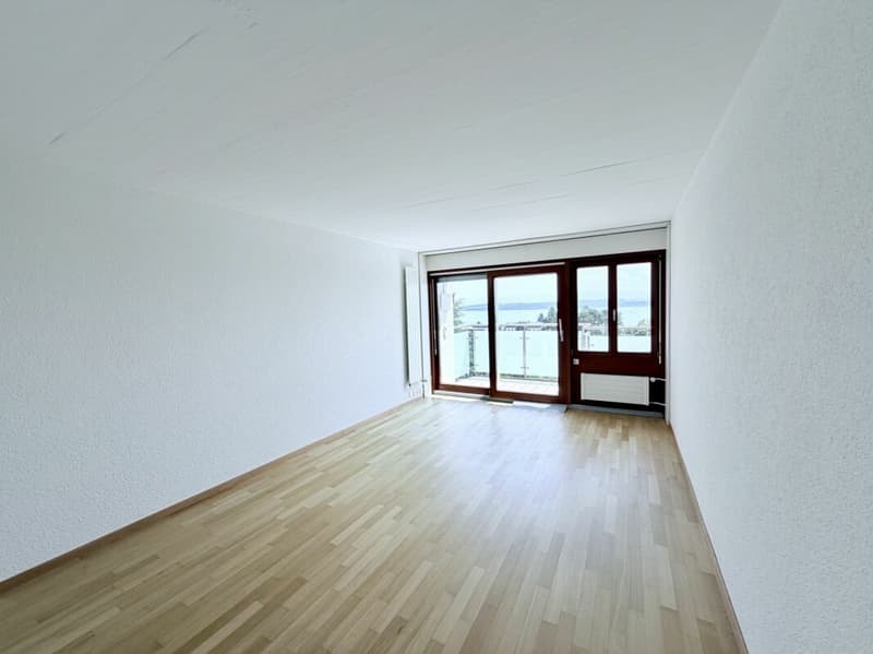 Studio rénové avec encadrement et vue sur le lac (1)