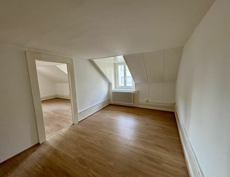 3.5 pièces sous les combles - Charme unique au coeur du centre-ville (4)