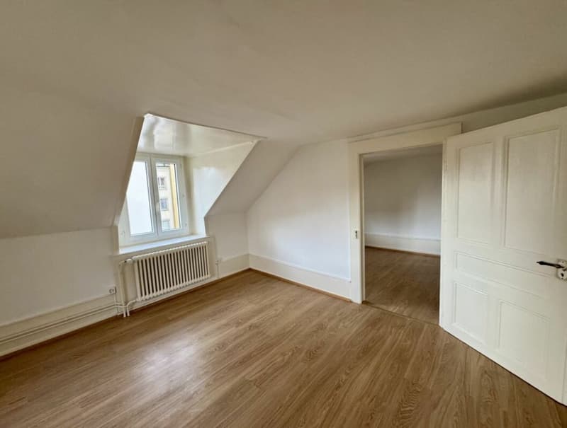 3.5 pièces sous les combles - Charme unique au coeur du centre-ville (3)