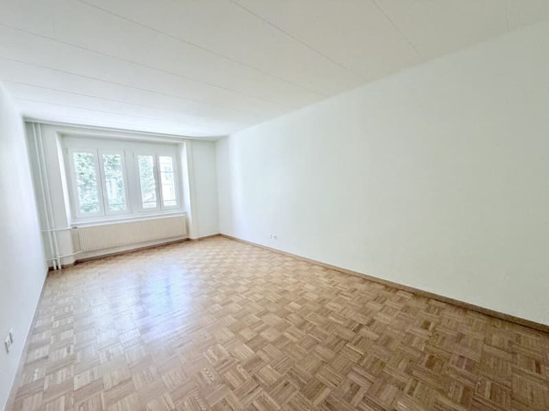 Rénové ! Appartement de 3.0 pièces (3)