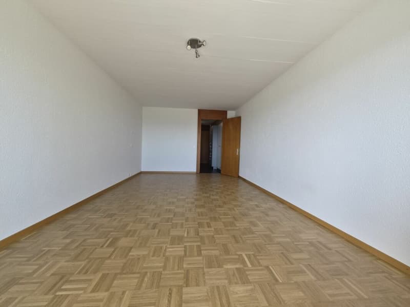 Studio rénové avec encadrement et vue sur le lac copie (3)