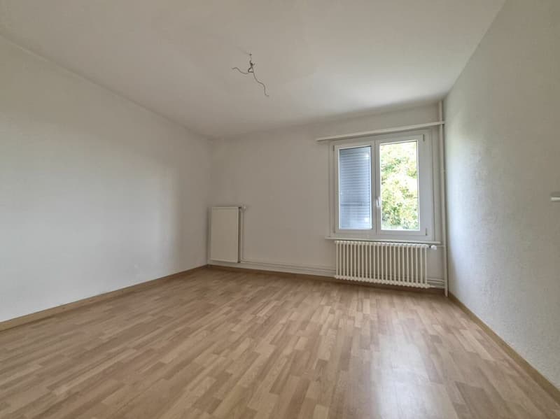 Appartement de 4.5 pièces avec balcon (5)