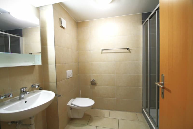 Appartement de 5.5 pièces au 1er étage (8)