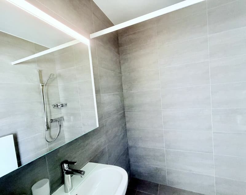 Rénové ! Appartement de 2.0 pièces avec vue dégagée (3)
